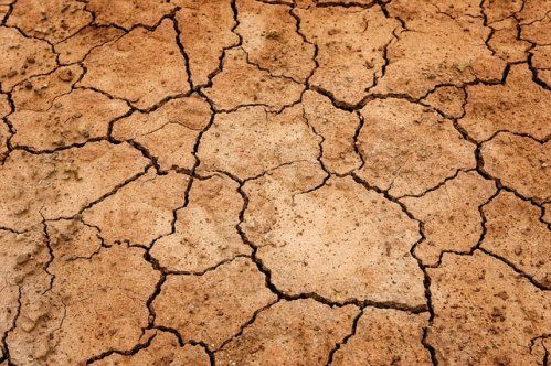 Elaboración y Redacción de Planes de Emergencia de Sequía